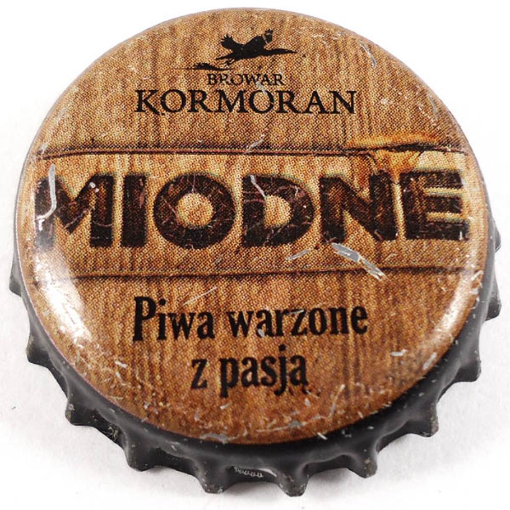 Polônia Kormoran Miodne