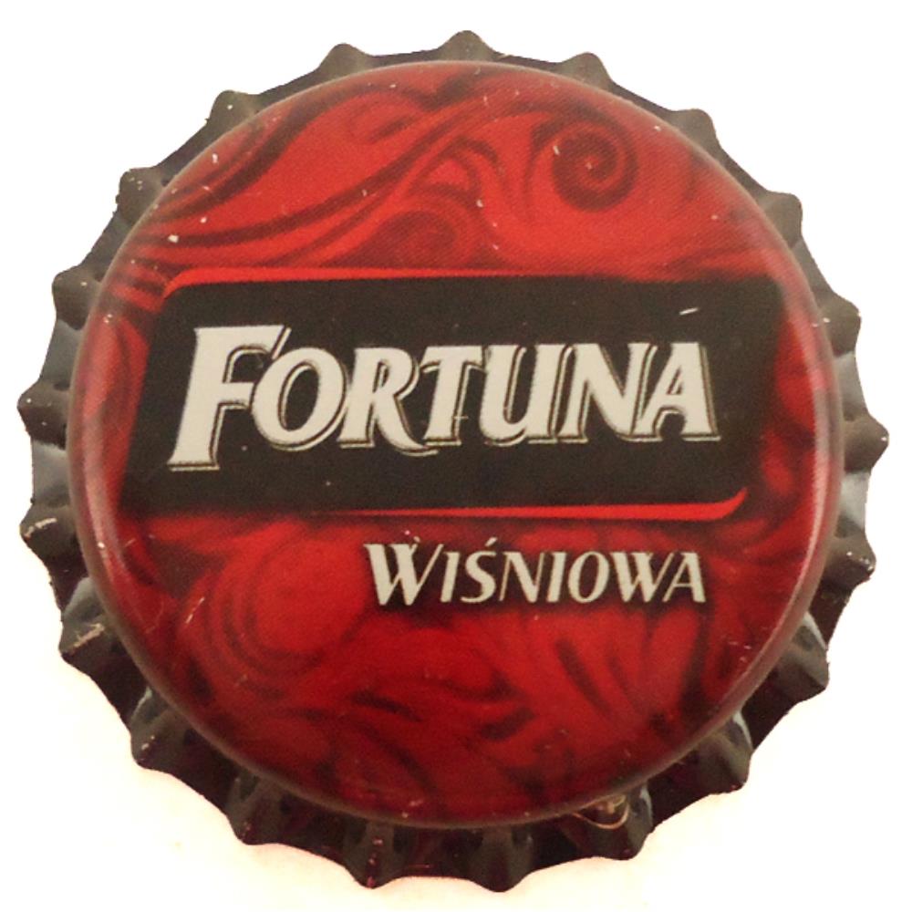 Polonia Fortuna Wisniowa